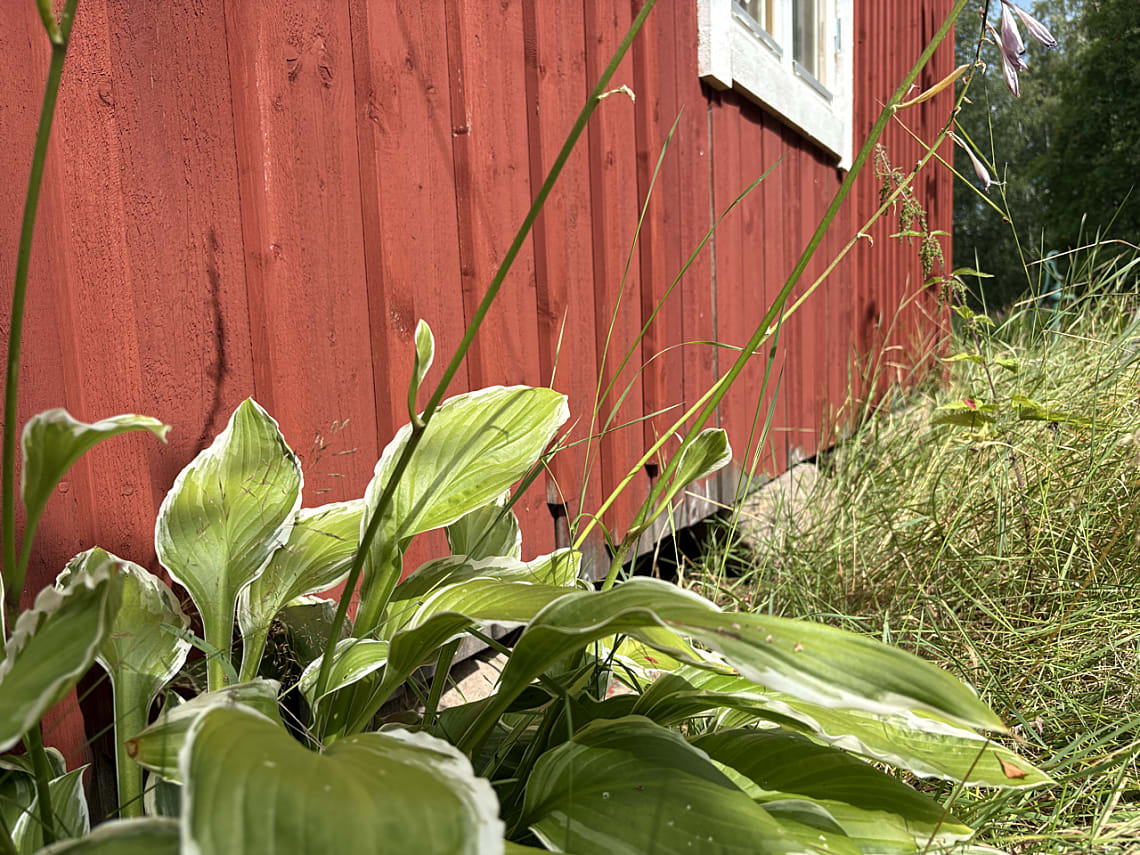 Bild av bostaden
