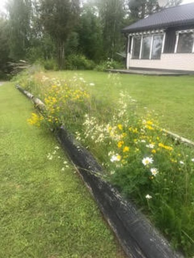 Bild av bostaden