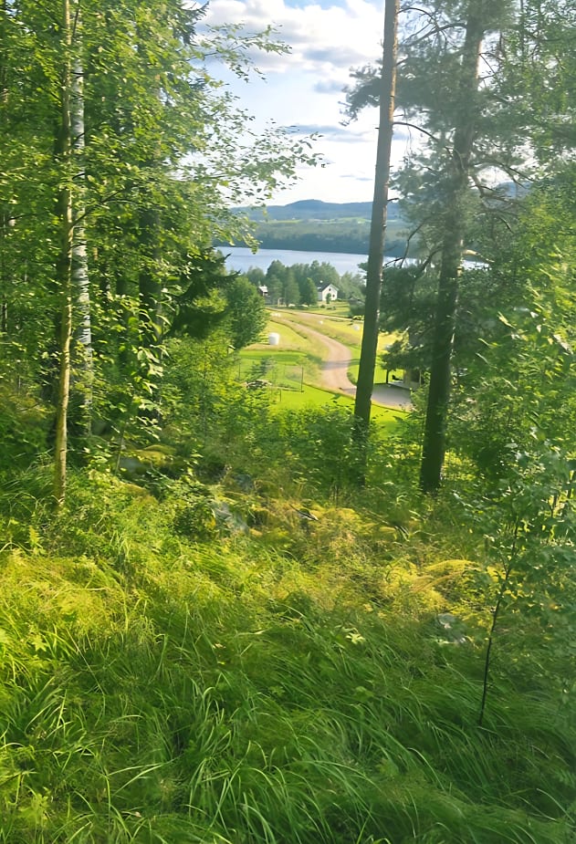 Bild av bostaden