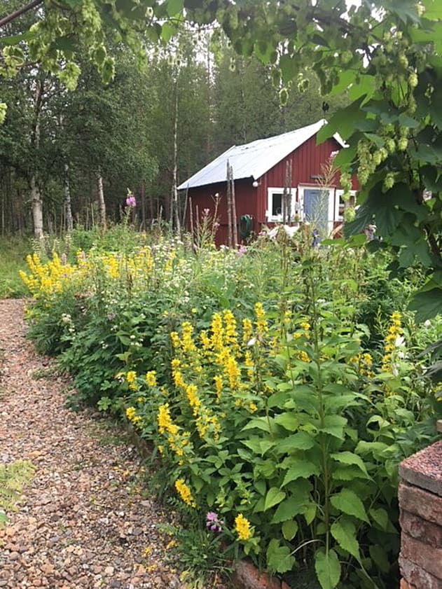 Bild av bostaden