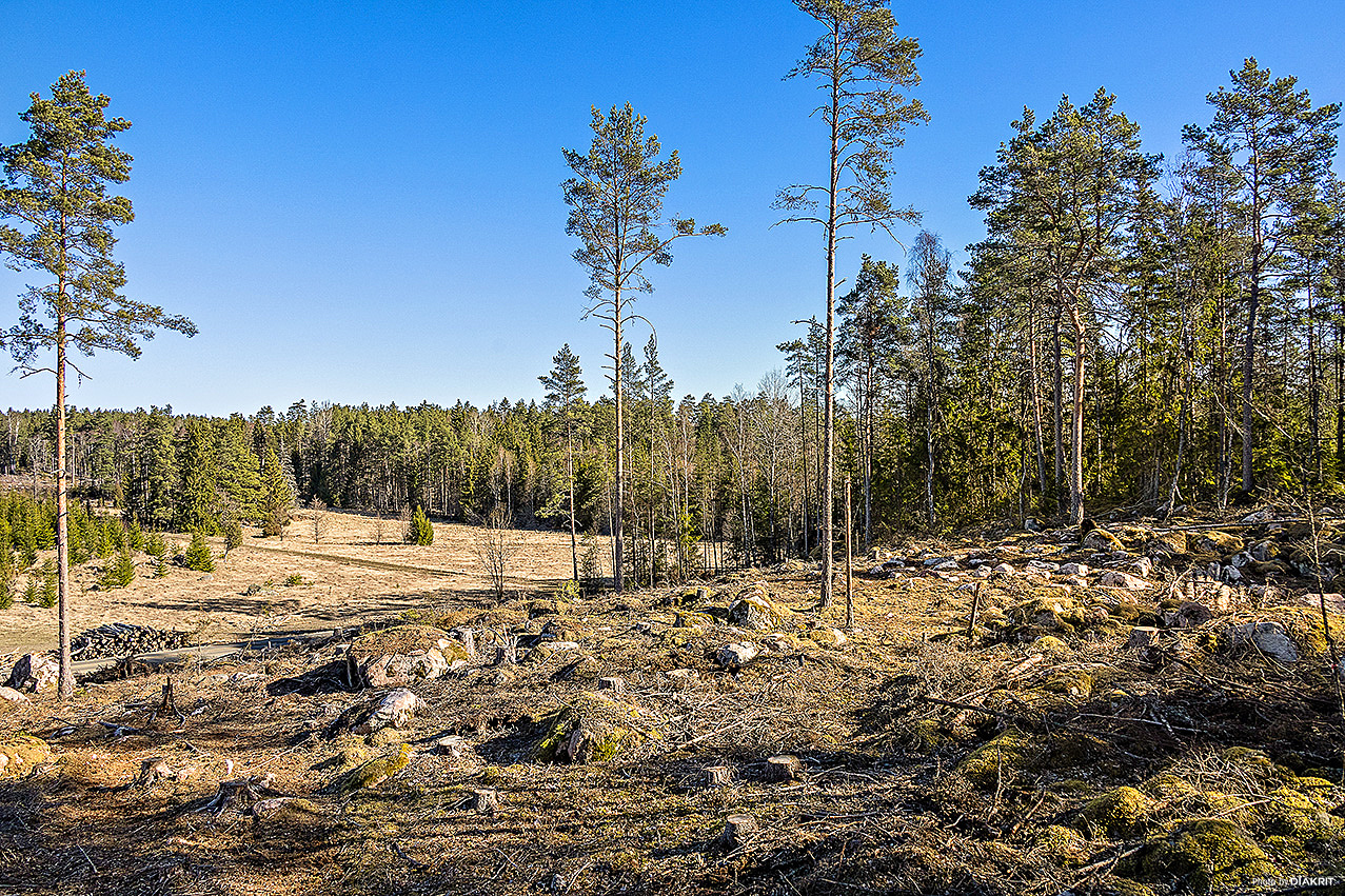 Översiktsbild av objektet