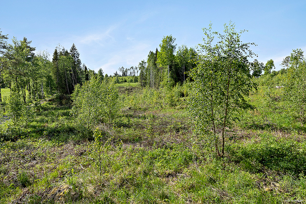 Översiktsbild av objektet