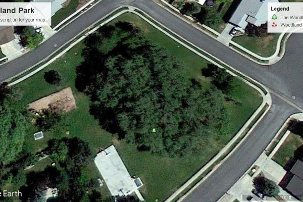 Field Image