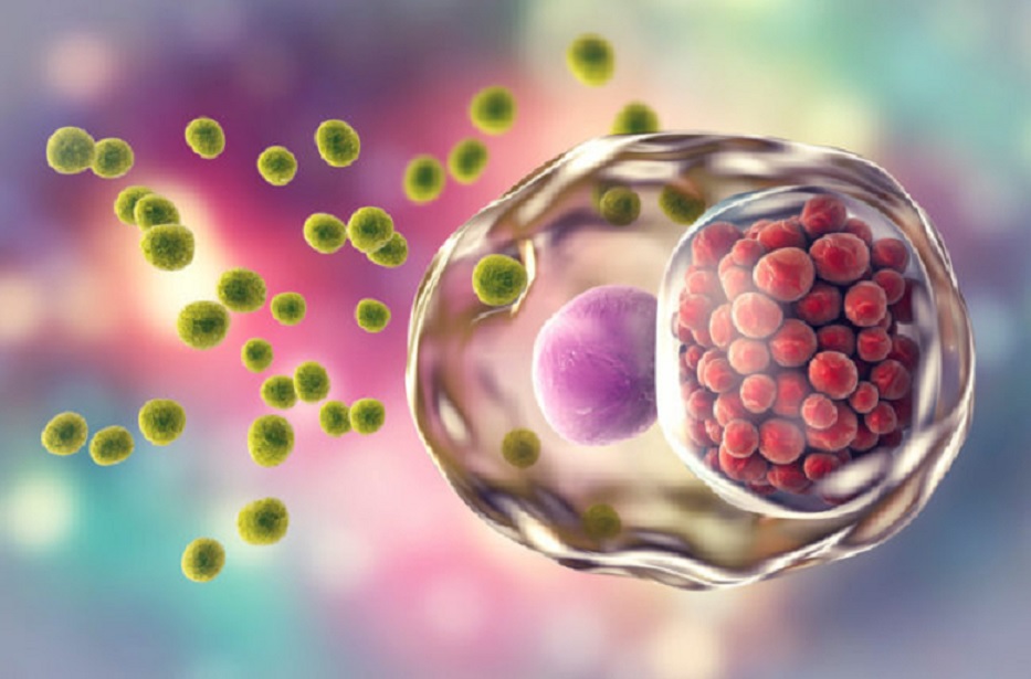 Do You Know what are the Most Common Sexually Transmitted Diseases?