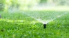 Beginning Dec. 1, Hillsborough County residents can only water their lawns once a week.