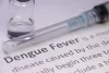 Dengue Fever