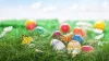 Colorful easter eggs in the grass with butterflies and flowers