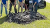 Five people putting shovels into a mound of dirt