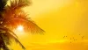 Palm trees, sun and yellow sky