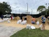 Residents filling sandbags