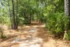 Hiking trail at Lake Rogers Park