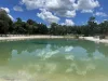 At Lithia Springs Conservation Park, where the water is always 72 degrees, bathers and waders can frolic in one of Florida's oldest swimming holes.