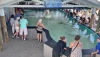 People gathered around the manatee pool
