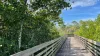 A wooden boardwalk  with mangrove trees on both sides and a bright blue sky in the background