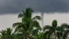 A tornado viewed from behind palm trees