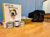 A binder with pet medical paperwork, alongside canned food, medication bottles, a disposable litter pan and litter, and a pet carrier