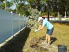 Lady planting a tree.