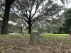 Samson Forrester’s grave can still be visited today in Loving Care Cemetery in Seffner, Florida.