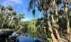 The tree lined shore of a river set against a blue sky with a few clouds
