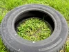 Old tire in grass