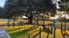 A man using the outdoor exercise equipment at the West Park Fitness Zone