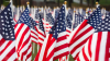 Group of American Flags in honor of Memorial Day