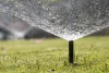 A sprinkler watering the grass