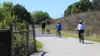 Upper Tampa Bay Trail and Bikers