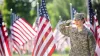 Solider saluting flag