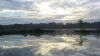 The sky and treeline reflected in the water at the Violet Cury Nature Preserve