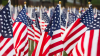 A closeup of a bunch of US flags planted in the ground