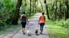 Two people hiking with their dogs at Upper Tampa Bay park