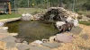 A dog enjoys the water at sensory garden at PRC