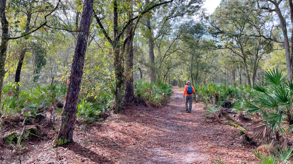 Humans of the Hiking Spree Lenny Chew Hillsborough County, FL