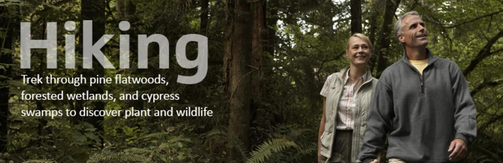 A couple hiking in the woods - Hiking: Trek through pine flatwoods, forested wetlands, and cypress swamps to discover plant and wildlife