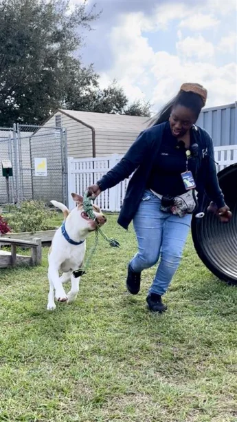 Enrichment opportunities are plentiful for pets in PRC's care.