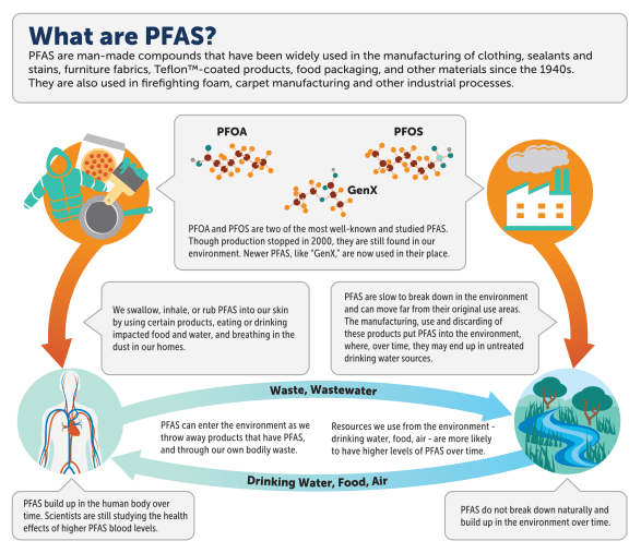 PFAS infographic