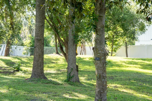 Saplings and adult trees alike receive new signage thanks to the prestigious Arboretum accreditation.