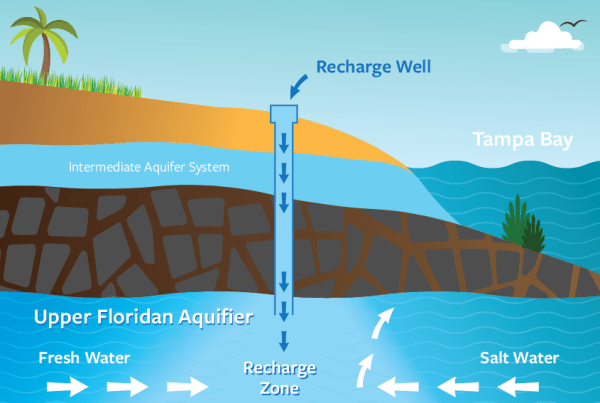 Recharge well infographic showing process of the Upper Floridan Aquifer