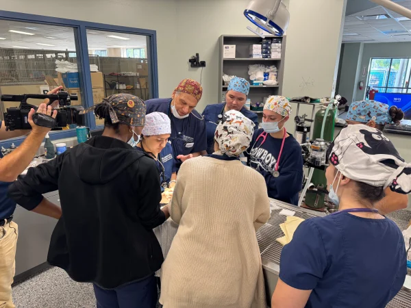 HCC students are guided by their instructor while working on a dog.