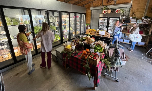 Customers browse fresh, locally grown produce at Meacham Urban Farm's on-site market.
