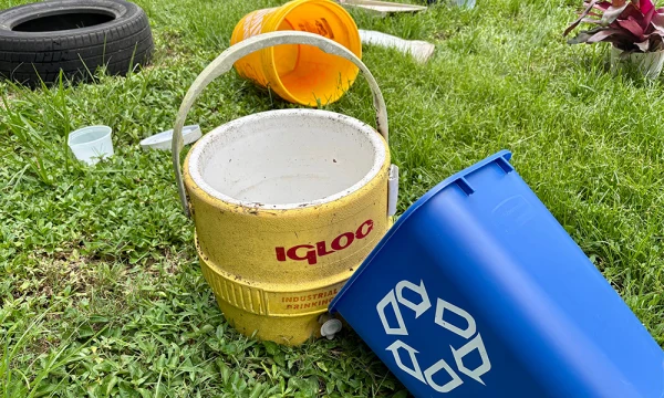 Residents urged to dump outside items that collect standing water