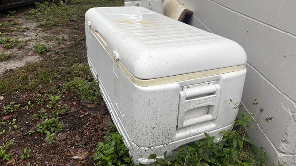 A cooler sits outside a home collecting water that can potentially become a mosquito breeding site
