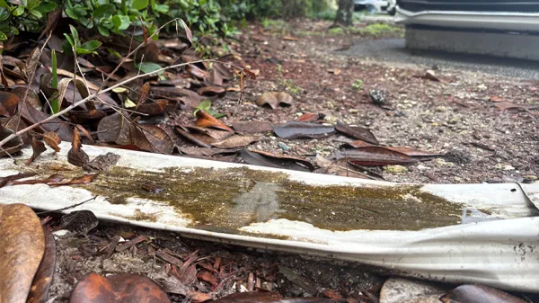 A rain spout collects enough water to become a mosquito breeding site