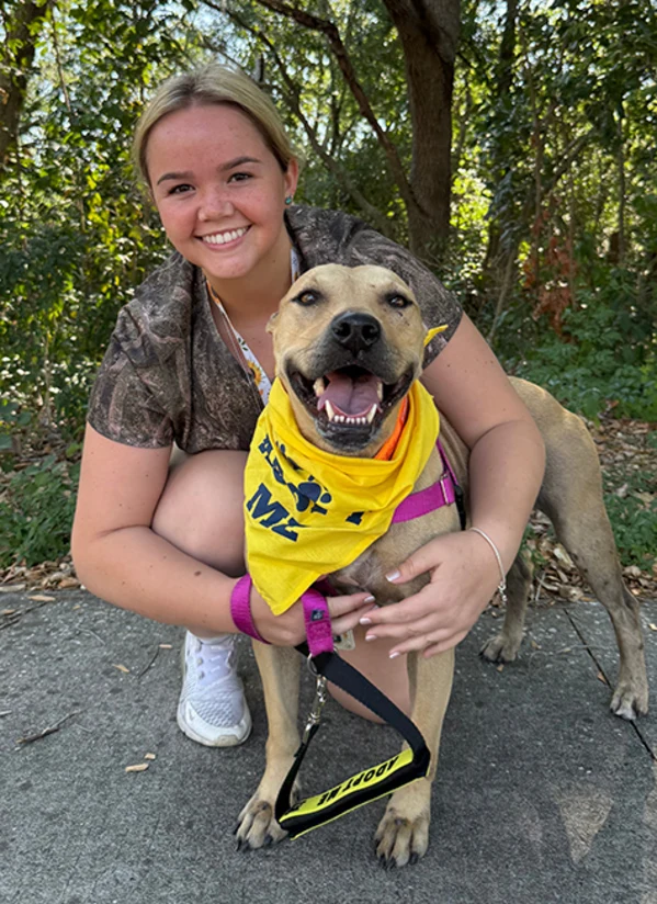 A woman crouching down next to a large tan dog who is wearing an Adopt Me bandana on its neck