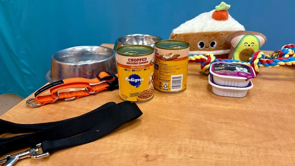 Pet supplies including food, leash, collar, food and water bowls, and toys