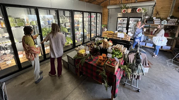 People are shopping inside of a small store with fresh vegetables in bins on a counter and inside a refrigerator case.