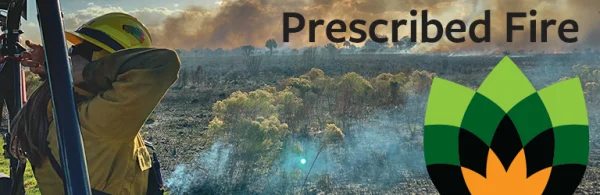 A firefighter overlooking a prescribed fire at a nature preserve