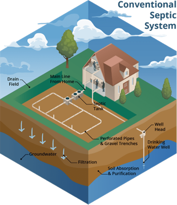 Graphic showing a conventional septic system system