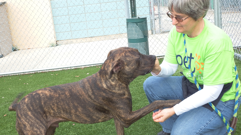 Hillsborough County Pet Resource Center